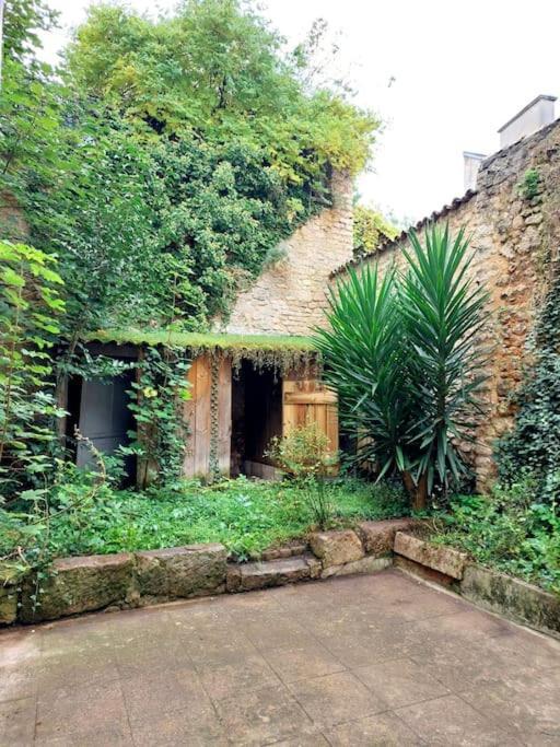Le Patio - Cinelodge Avec Jardin Poitiers Extérieur photo